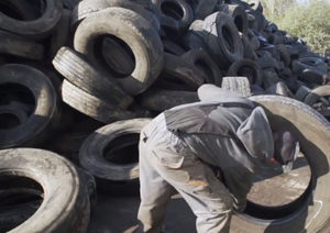 Waste Tire Recycling Machinery.png