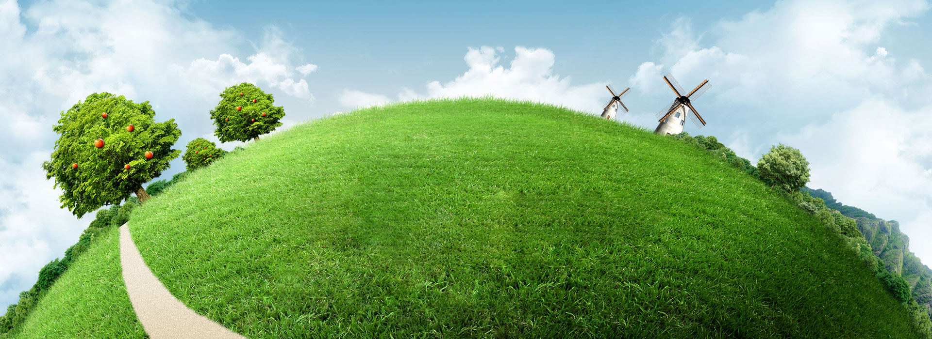 Liangru International Let life be green